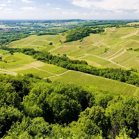 Maison d'hôtes&SPA La Scierie-2